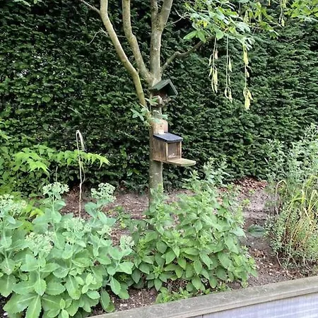 Gezellig Vrijstaand In Bosrijke Omgeving 