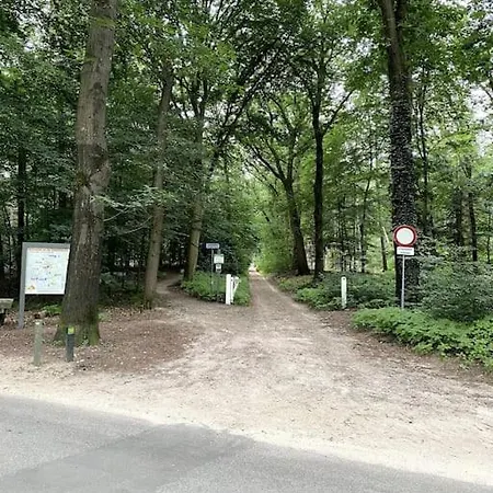 Gezellig Vrijstaand In Bosrijke Omgeving *