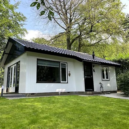 Gezellig Vrijstaand In Bosrijke Omgeving Holiday home