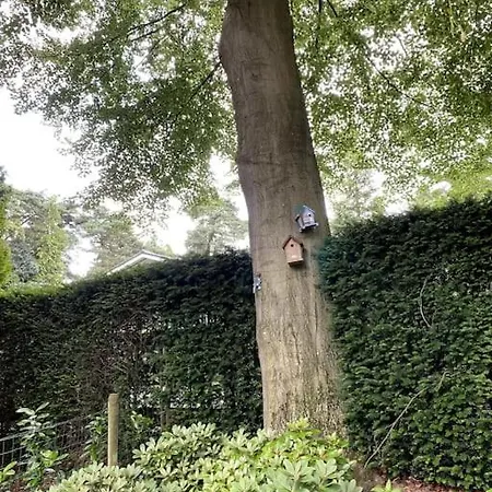 Gezellig Vrijstaand In Bosrijke Omgeving 度假居 卢特伦